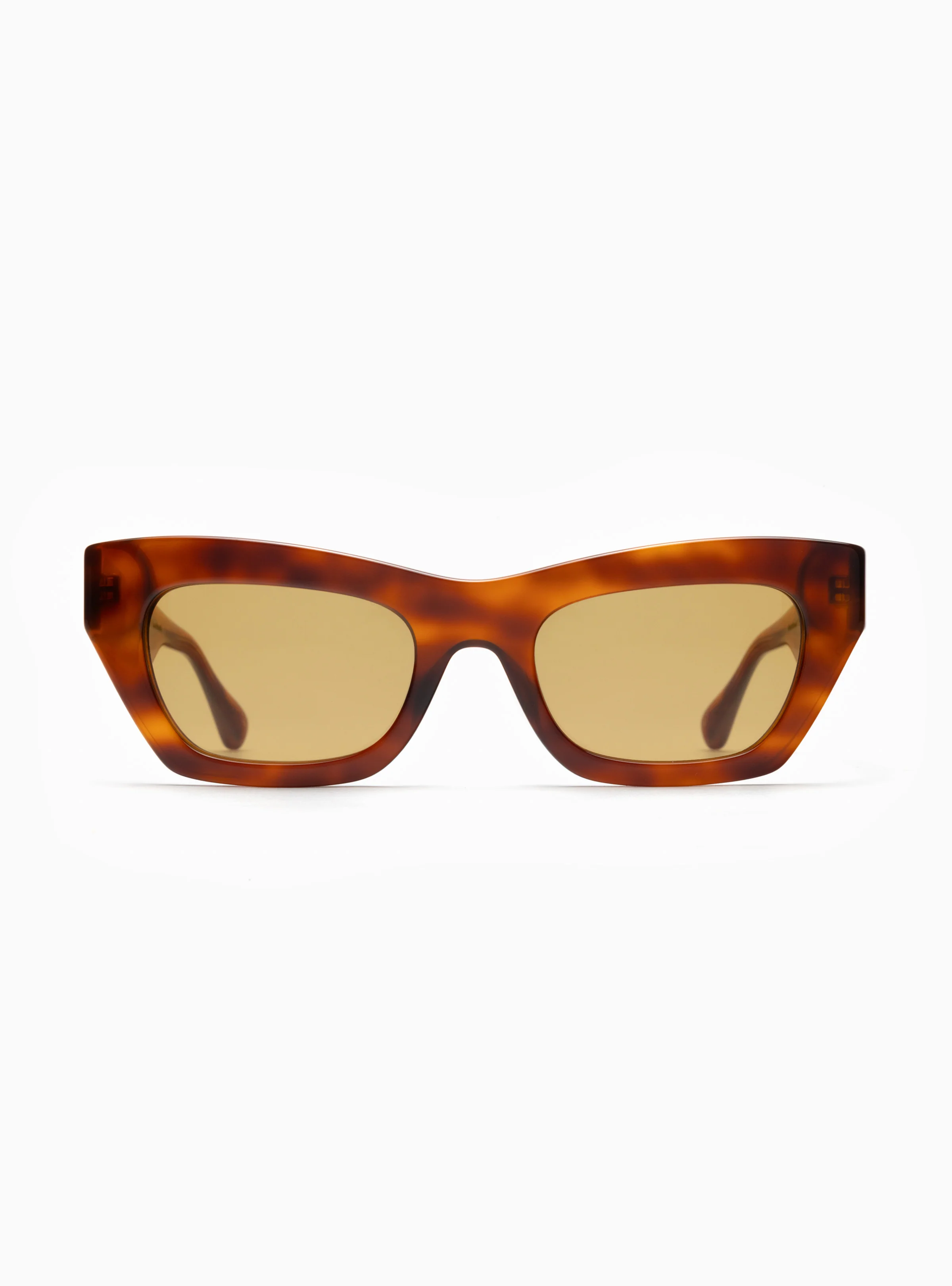 CLAIRE ROSE 01 - Image 9